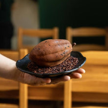 Carica l&#39;immagine nel visualizzatore di Gallery, Stampo 3D Fava Cacao
