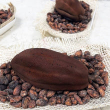 Carica l&#39;immagine nel visualizzatore di Gallery, Stampo 3D Fava Cacao
